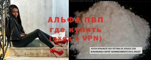 гашик Каменногорск