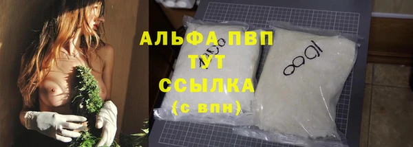 гашик Каменногорск