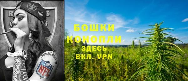 гашик Каменногорск