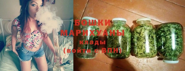 гашик Каменногорск