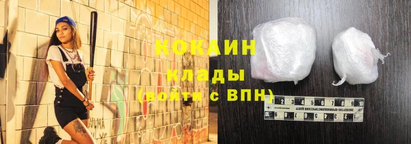 гашик Каменногорск
