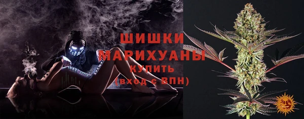 гашик Каменногорск