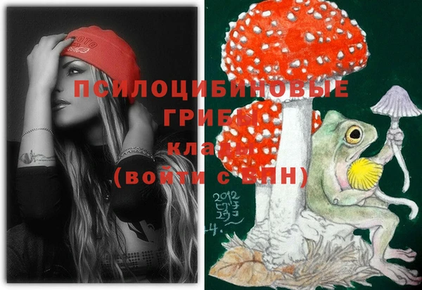 МДМА Каменка