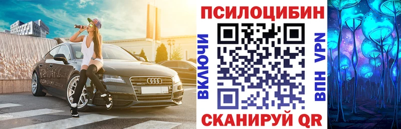 Галлюциногенные грибы Cubensis Купить закладки Каргополь
