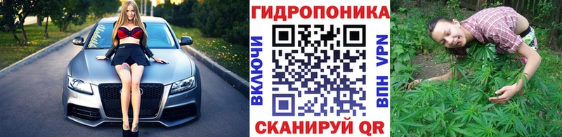 Марихуана сатива  Купить закладки  Каргополь 